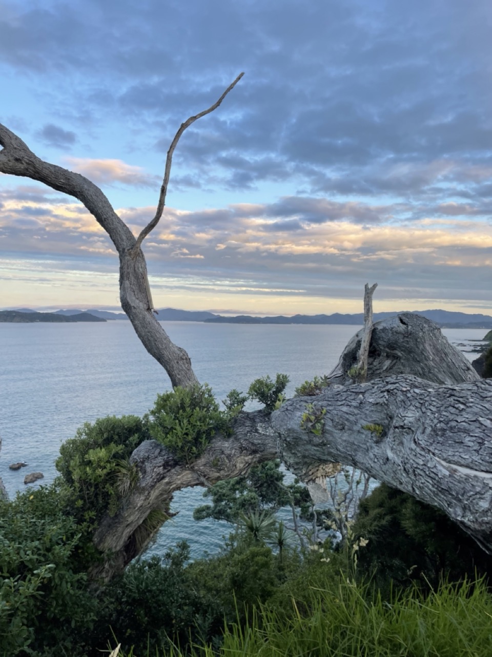 Petite rando sur la pointe de Tapeka